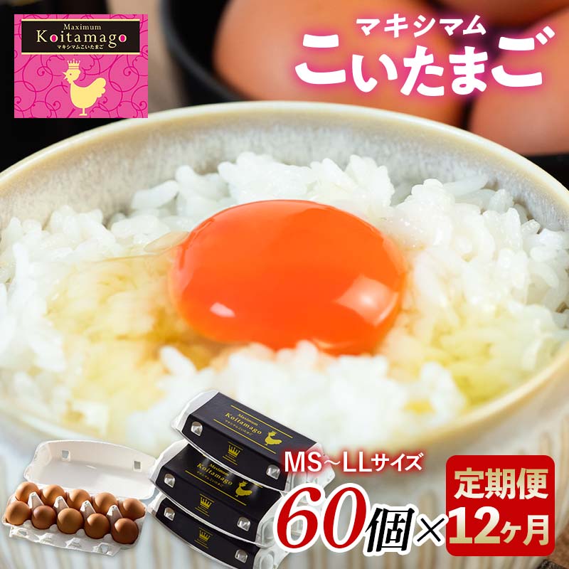 【TVで話題沸騰!】12か月定期便!とにかく黄身が濃いたまご「マキシマムこいたまご」60個入り 伊達市 福島県 国産 MS~LLサイズ 卵 たまご 玉子 生卵 鶏卵 F21C-203