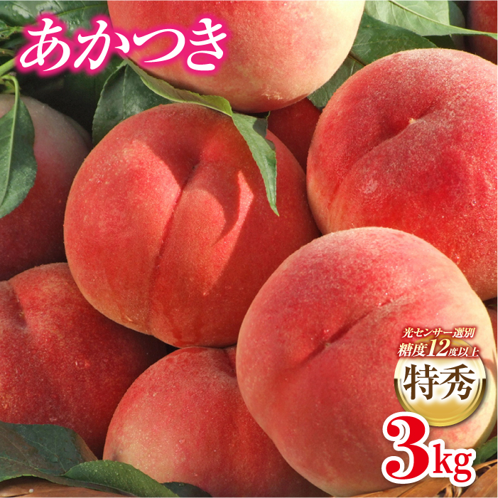 [2025年出荷分 先行予約]福島の桃 あかつき 特秀 約3kg(9〜12玉)伊達市産桃 透過式光センサー選別 先行予約 フルーツ 果物 もも モモ momo F20C-278