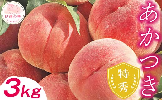 【2025年出荷分 先行予約】福島の桃 あかつき 特秀 約3kg（9～12玉）伊達市産桃 透過式光センサー選別 先行予約 フルーツ 果物 もも モモ momo F20C-278
