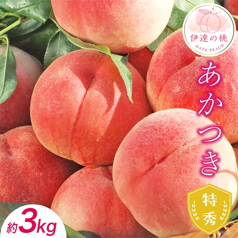 【2026年出荷分先行予約】福島県産 あかつき 約3kg (9~12玉) ふくしま未来農業協同組合 特秀 透過式光センサー選別 糖度12度以上 伊達の桃 桃 フルーツ 果物 もも モモ momo F20C-278