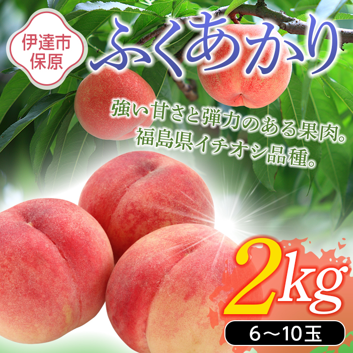 福島県産 ふくあかり 2kg 2025年7月中旬〜2025年7月下旬発送 2025年出荷分 先行予約 伊達の桃 桃 もも モモ 果物 くだもの フルーツ 国産 食品 デザート 果実 F20C-505