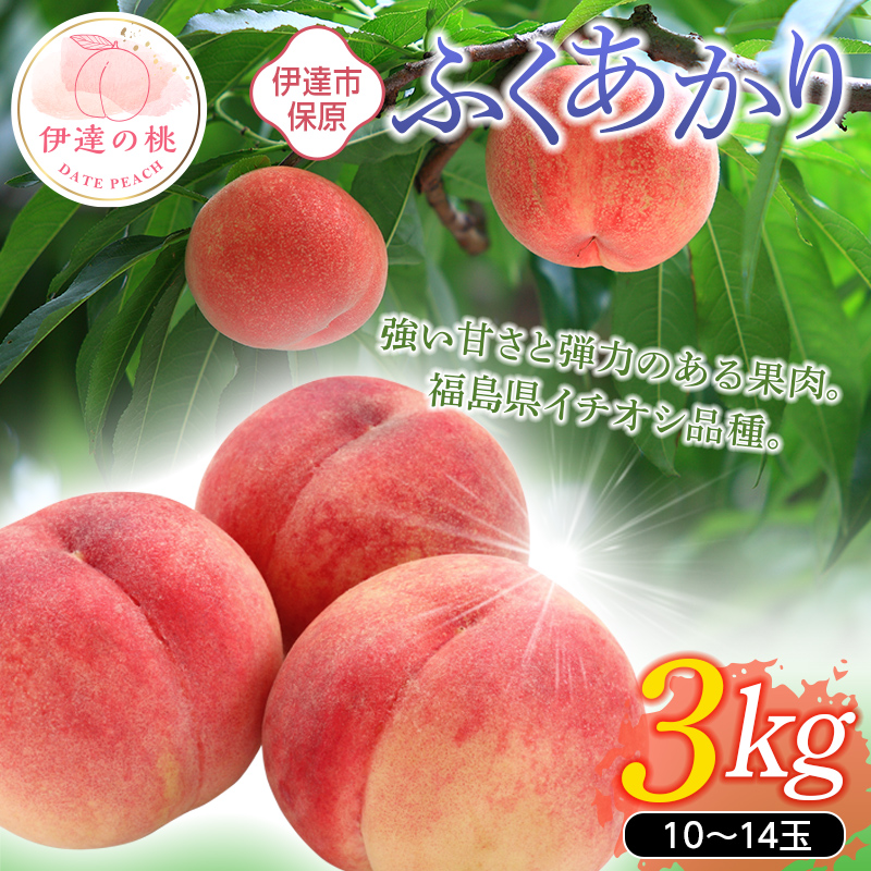 福島県産 ふくあかり 3kg 2025年7月中旬〜2025年7月下旬発送 2025年出荷分 先行予約 伊達の桃 桃 もも モモ 果物 くだもの フルーツ 国産 食品 デザート 果実 F20C-900