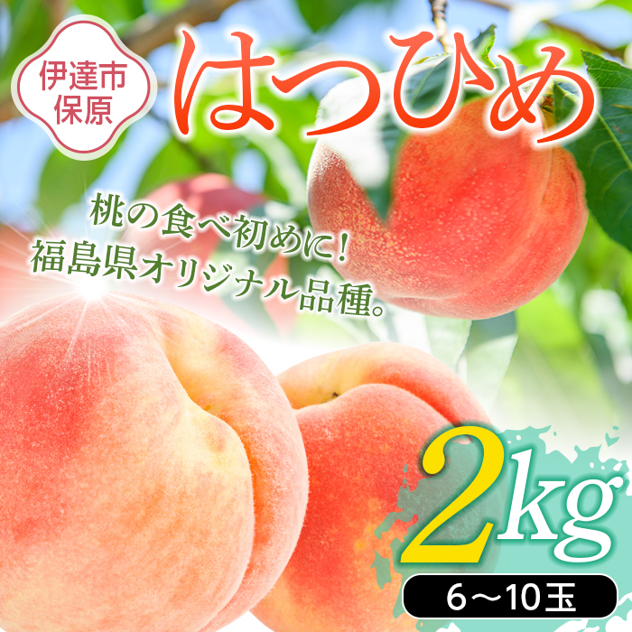 福島県産 はつひめ 2kg 2025年7月上旬〜2025年7月中旬発送 2025年出荷分 先行予約 伊達の桃 桃 もも モモ 果物 くだもの フルーツ 国産 食品 デザート 果実 F20C-506