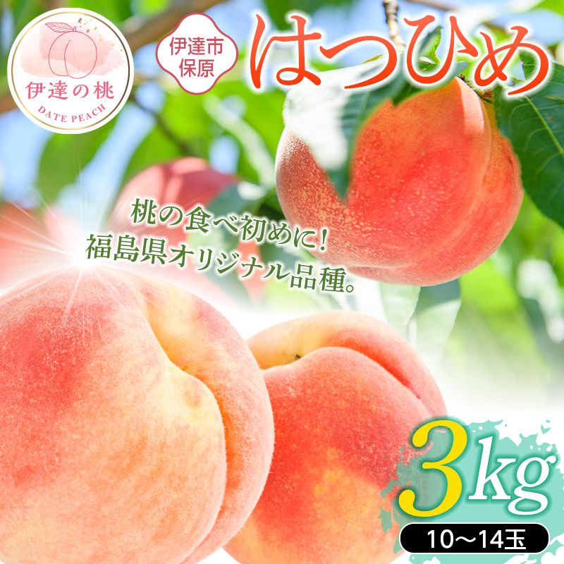 福島県産 はつひめ 3kg 2025年7月上旬〜2025年7月中旬発送2025年出荷分 先行予約 伊達の桃 桃 もも モモ 果物 くだもの フルーツ 国産 食品 デザート 果実 F20C-902