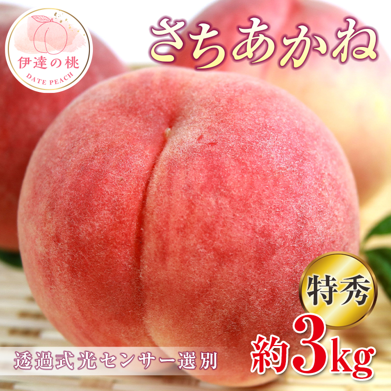 【2026年出荷分先行予約】福島県産 特秀 さちあかね 約3kg (9~11玉) ふくしま未来農業協同組合 特秀 透過式光センサー選別 糖度12度以上 固め 伊達の桃 桃 フルーツ 果物 もも モモ momo F20C-352
