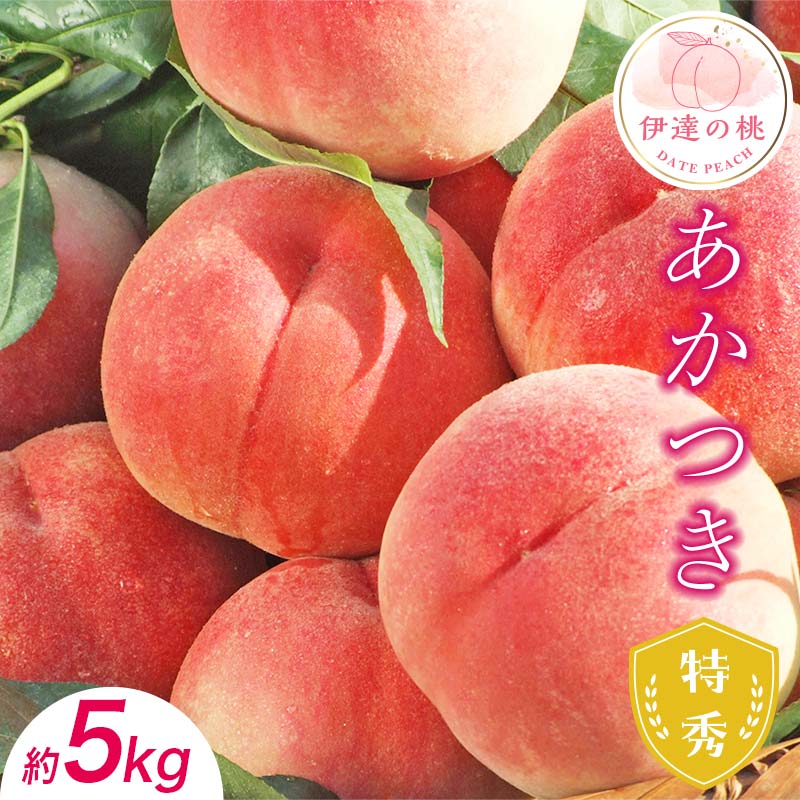 【2026年出荷分先行予約】福島県産 特秀 あかつき 約5kg (15~18玉) ふくしま未来農業協同組合 特秀 透過式光センサー選別 糖度12度以上 伊達の桃 桃 フルーツ 果物 もも モモ momo F20C-125
