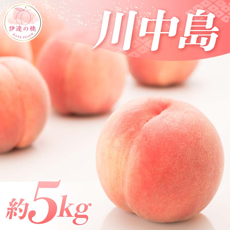 【2026年出荷分先行予約】福島県産 特秀 川中島 約5kg (13～18玉) ふくしま未来農業協同組合 特秀 透過式光センサー選別 白桃 大玉 伊達の桃 桃 フルーツ 果物 もも モモ momo F20C-126