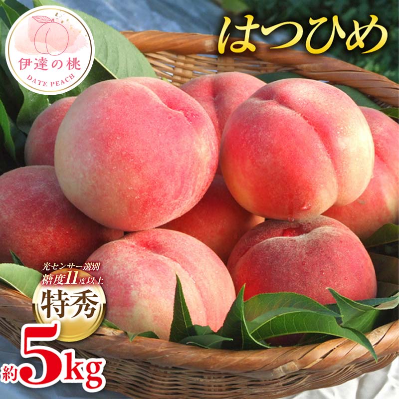 【2026年出荷分先行予約】福島県産 特秀 はつひめ 約5kg (18-22玉) ふくしま未来農業協同組合 特秀 透過式光センサー選別 糖度11度以上 伊達の桃 桃 フルーツ 果物 もも モモ momo F20C-127