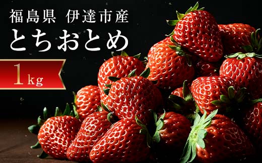 ＜2026年発送＞伊達市霊山で採れるいちご「とちおとめ」1kg （250g×4パック） イチゴ 苺 F20C-532