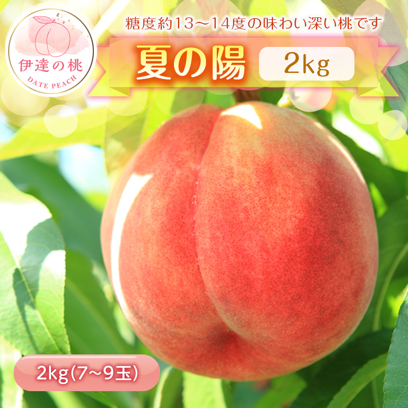 福島県産 伊達市で開発 夏の陽 2kg 2025年8月上旬〜2025年8月中旬発送 2025年出荷分 先行予約 中玉 柔らかめ 伊達の桃 桃 もも モモ 果物 くだもの フルーツ 国産 食品 デザート 果実 F20C-454