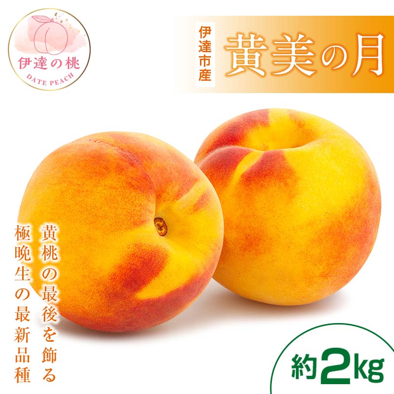 【2026年出荷分先行予約】福島県産 黄美の月 約2kg (5～7玉) 高橋もも園 大玉 伊達の桃 桃 フルーツ 果物 もも モモ momo F20C-464