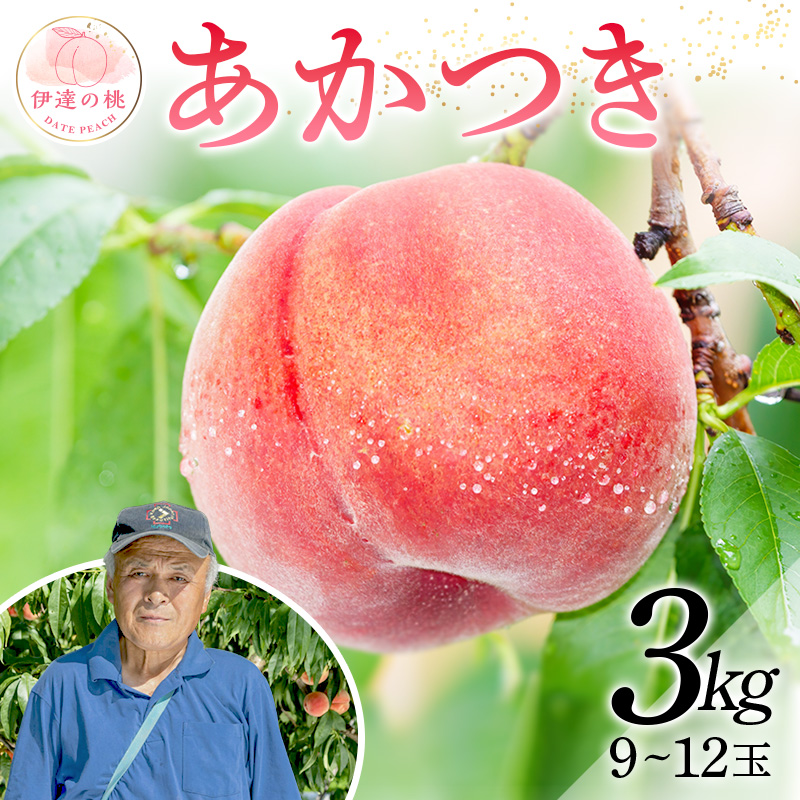 福島県産 [新鮮もも直送]あかつき 3kg 2025年7月下旬〜2025年8月中旬出荷 2025年出荷分 先行予約 伊達の桃 桃 もも モモ 果物 くだもの フルーツ 名産品 国産 食品 デザート 果実 F20C-607