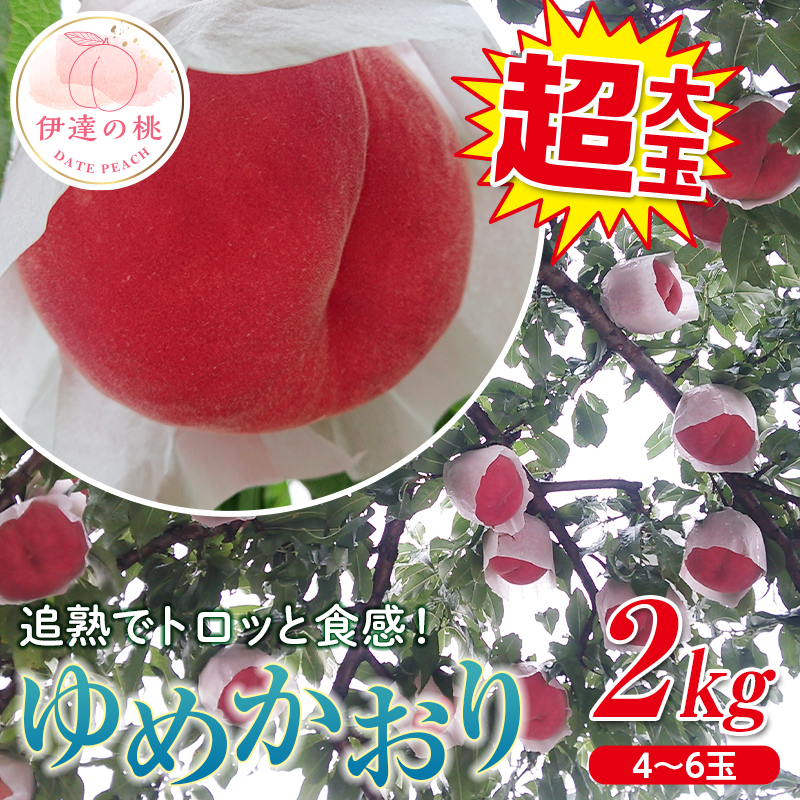 福島県産 ゆめかおり 2kg 新品種 2025年9月中旬〜2025年9月下旬発送 2025年出荷分 先行予約 極大玉 大きめ 固め 伊達の桃 桃 もも モモ 果物 くだもの フルーツ 国産 食品 デザート 果実 F20C-372