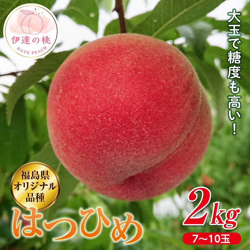 福島県産 はつひめ 2kg 2025年7月上旬〜2025年7月中旬発送 2025年出荷分 先行予約 伊達の桃 オリジナル品種 桃 もも モモ 果物 くだもの フルーツ 国産 食品 デザート 果実 F20C-371