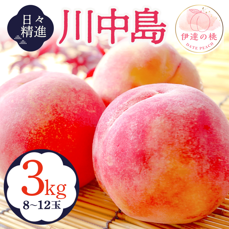 福島県産 川中島白桃 2kg 2025年8月中旬〜2025年8月下旬発送 2025年出荷分 先行予約 白桃 大玉 伊達の桃 桃 もも モモ 果物 くだもの フルーツ 国産 食品 デザート 果実 F20C-646