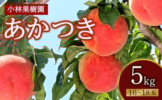 福島県産 あかつき 5kg 2025年7月下旬〜2025年8月上旬発送 2025年出荷分 先行予約 伊達の桃 桃 もも モモ 果物 くだもの フルーツ 名産品 国産 食品 デザート 果実 F20C-591