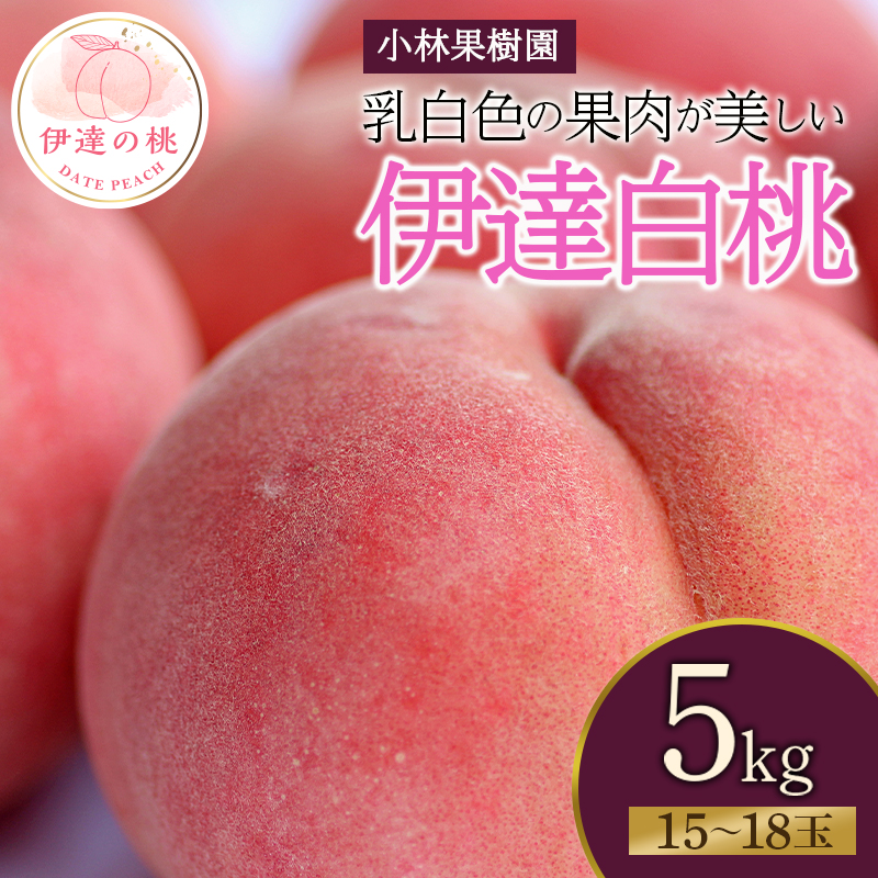 福島県産 伊達白桃 5kg 2025年9月上旬〜2025年9月中旬発送 2025年出荷分 先行予約 白桃 大玉 伊達の桃 桃 もも モモ 果物 くだもの フルーツ 国産 食品 デザート 果実 F20C-593