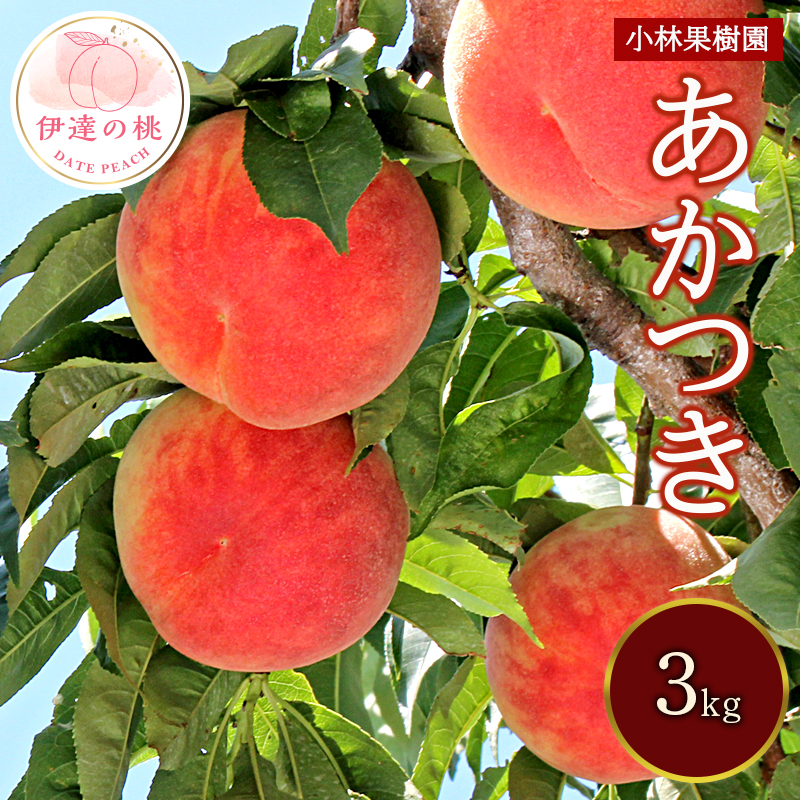 福島県産 あかつき 3kg 2025年7月下旬〜2025年8月上旬発送 2025年出荷分 先行予約 伊達の桃 桃 もも モモ 果物 くだもの フルーツ 名産品 国産 食品 デザート 果実 F20C-590