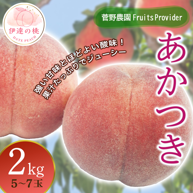 福島県産 あかつき 2kg 2025年7月下旬〜2025年8月中旬発送 2025年出荷分 先行予約 伊達の桃 桃 もも モモ 果物 くだもの フルーツ 名産品 国産 食品 デザート 果実 F20C-611