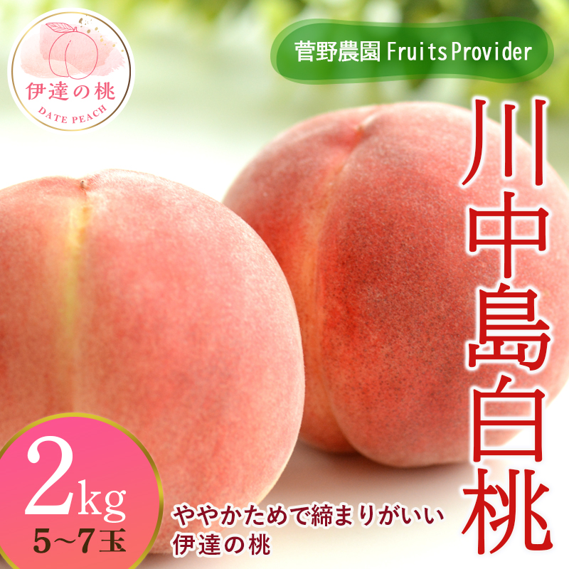 福島県産 川中島白桃 2kg 2025年8月中旬〜2025年8月下旬発送 2025年出荷分 先行予約 白桃 大玉 伊達の桃 桃 もも モモ 果物 くだもの フルーツ 国産 食品 デザート 果実 F20C-605