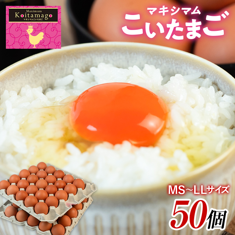 【TVで話題沸騰！】とにかく黄身が濃いたまご「マキシマムこいたまご」50個入り 伊達市 福島県 国産 MS～LLサイズ 養鶏場直送 卵 たまご 玉子 生卵 鶏卵  F20C-275