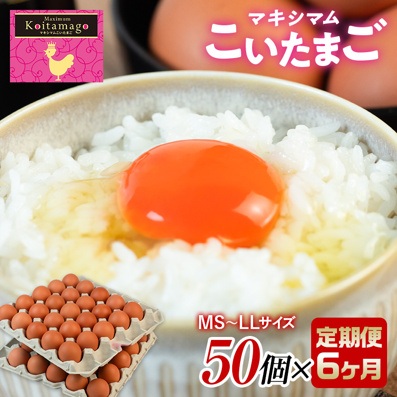 【TVで話題沸騰!】6ヶ月連続定期便!とにかく黄身が濃いたまご「マキシマムこいたまご」毎月50個 伊達市 福島県 国産 MS~LLサイズ 養鶏場直送 卵 たまご 玉子 生卵 鶏卵  F20C-564