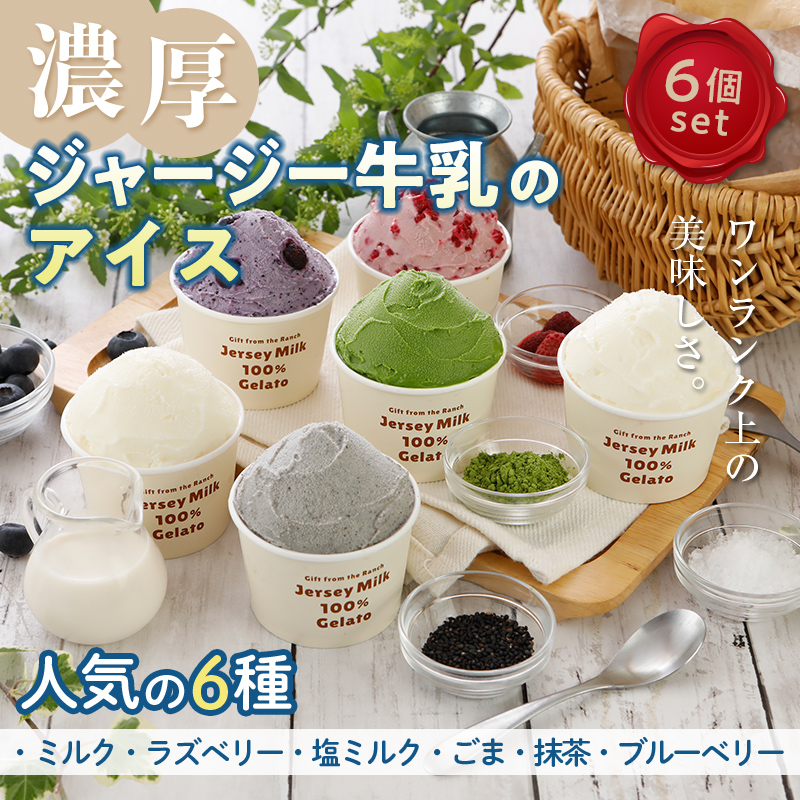 【ジャージー牛乳使用】まきばのジャージーアイス人気スタンダードセット6個入り F21C-033
