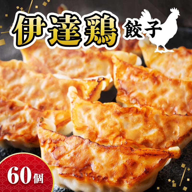 福島県 伊達市産 【リピーター多数】旨味たっぷり 伊達鶏 餃子 60個入り（12個×5パック） 冷凍 銘柄鶏 ブランド鶏 ぎょうざ ギョーザ お手軽餃子 薄皮 特製あん だてどり 鶏肉餃子 惣菜 F20C-457