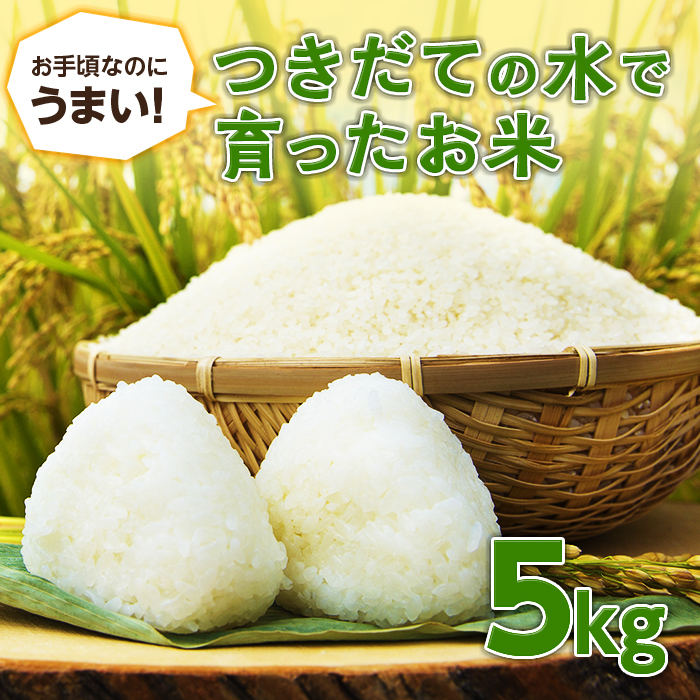 【先行予約】 お手頃なのにうまい！つきだての水で育ったお米（5kg） F20C-513
