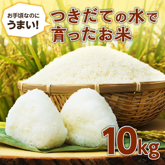 【先行予約】 お手頃なのにうまい！つきだての水で育ったお米（10kg） F20C-514