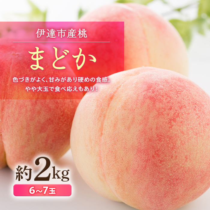 福島県産 まどか 約2kg 2025年8月上旬〜2025年8月下旬発送 2025年出荷分 先行予約 大玉 固め 伊達の桃 冷蔵配送もも モモ 果物 くだもの フルーツ 国産 食品 デザート 果実 F20C-498