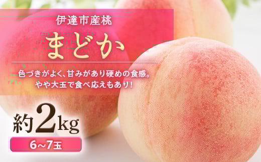 福島県産 まどか 約2kg 2025年8月上旬〜2025年8月下旬発送 2025年出荷分 先行予約 大玉 固め 伊達の桃 冷蔵配送もも モモ 果物 くだもの フルーツ 国産 食品 デザート 果実 F20C-498