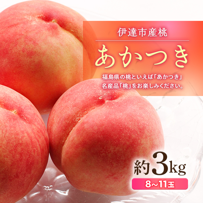 福島県産 あかつき 約3kg 2025年7月下旬〜2025年8月上旬発送 2025年出荷分 先行予約 伊達の桃 冷蔵配送 もも モモ 果物 くだもの フルーツ 名産品 国産 食品 デザート 果実 F20C-500