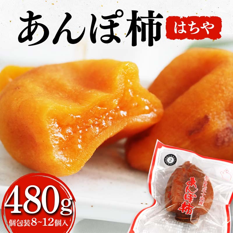 厳選 個包装 あんぽ柿(はちや)480g F20C-822