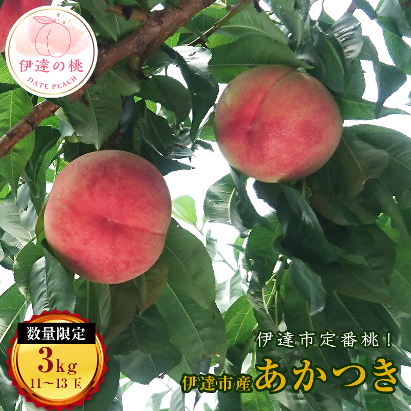 福島県産 あかつき 約3kg 数量限定 2025年7月下旬〜2025年8月中旬発送 2025年出荷分 先行予約 伊達の桃 桃 もも モモ 果物 くだもの フルーツ 名産品 国産 食品 デザート 果実 F20C-159