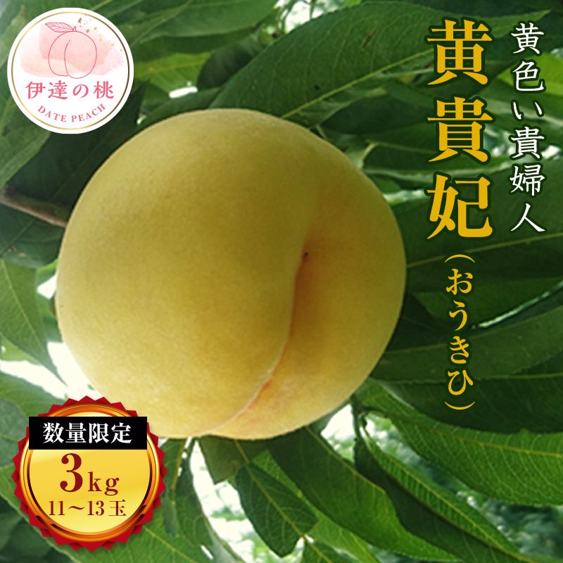 福島県産 黄貴妃 約3kg 2025年8月中旬〜2025年9月初旬発送 2025年出荷分 先行予約 数量限定 伊達の桃 桃 もも モモ 黄桃 果物 くだもの フルーツ 国産 食品 デザート 果実 F20C-158