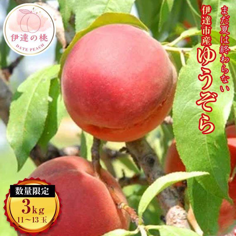 福島県産 ゆうぞら 約3kg 2025年8月中旬〜2025年9月初旬発送 2025年出荷分 先行予約 数量限定 小さめ 固め 伊達の桃 桃 もも モモ 果物 くだもの フルーツ 国産 食品 デザート 果実 F20C-160