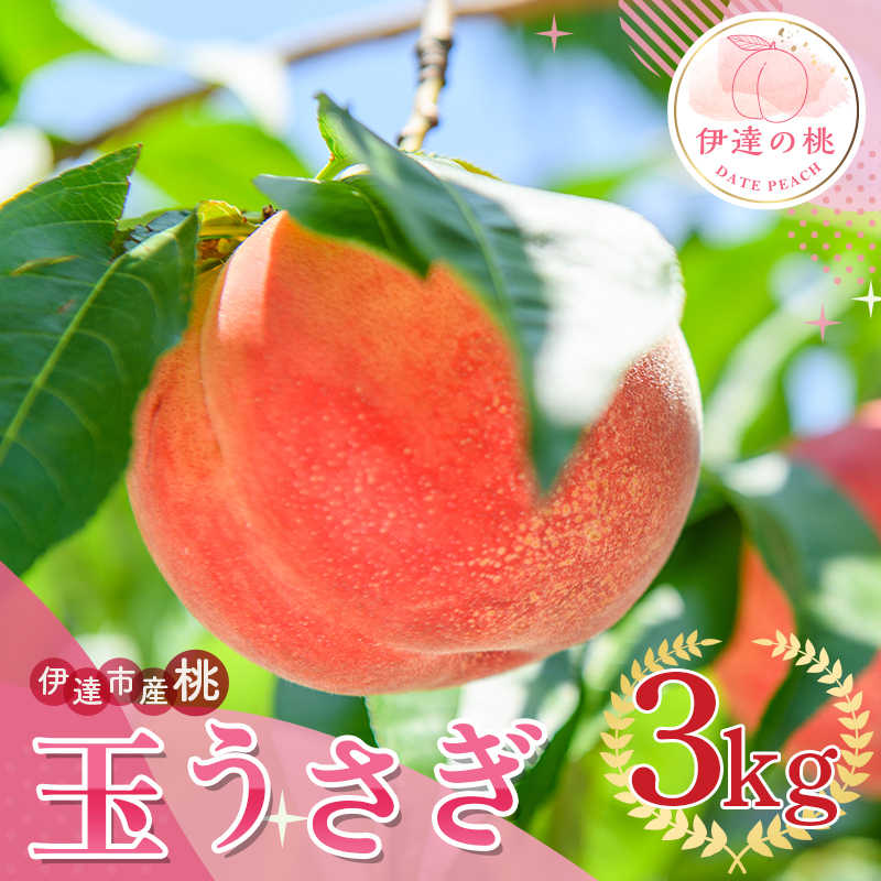 福島県産 玉うさぎ 3kg 2025年8月下旬〜2025年9月上旬発送 2025年出荷分 先行予約 新品種 たまうさぎ 固め 伊達の桃 桃 もも モモ 果物 くだもの フルーツ 国産 食品 デザート 果実 F20C-835