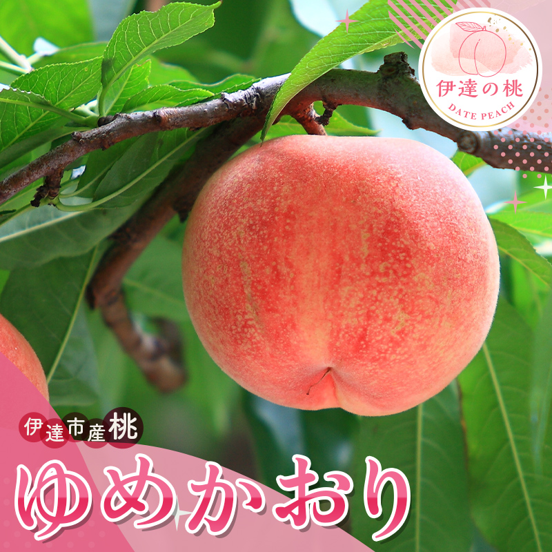 福島の桃 ゆめかおり 3kg 2025年出荷分 先行予約 2025年9月中旬〜2025年9月下旬 新品種 超大玉 大玉 固め 伊達の桃 桃 もも モモ 果物 くだもの フルーツ 国産 食品 デザート 果実 F20C-839