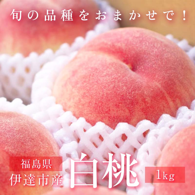 旬の桃 伊達市産 どれが届くかお楽しみ白桃 1kg（3～5玉）2025年出荷分 先行予約 2025年7月上旬～2025年9月中旬出荷 伊達の桃 冷蔵配送 もも モモ 名産品 果物 くだもの フルーツ 国産 産地直送  デザート 果実 食品 F20C-946