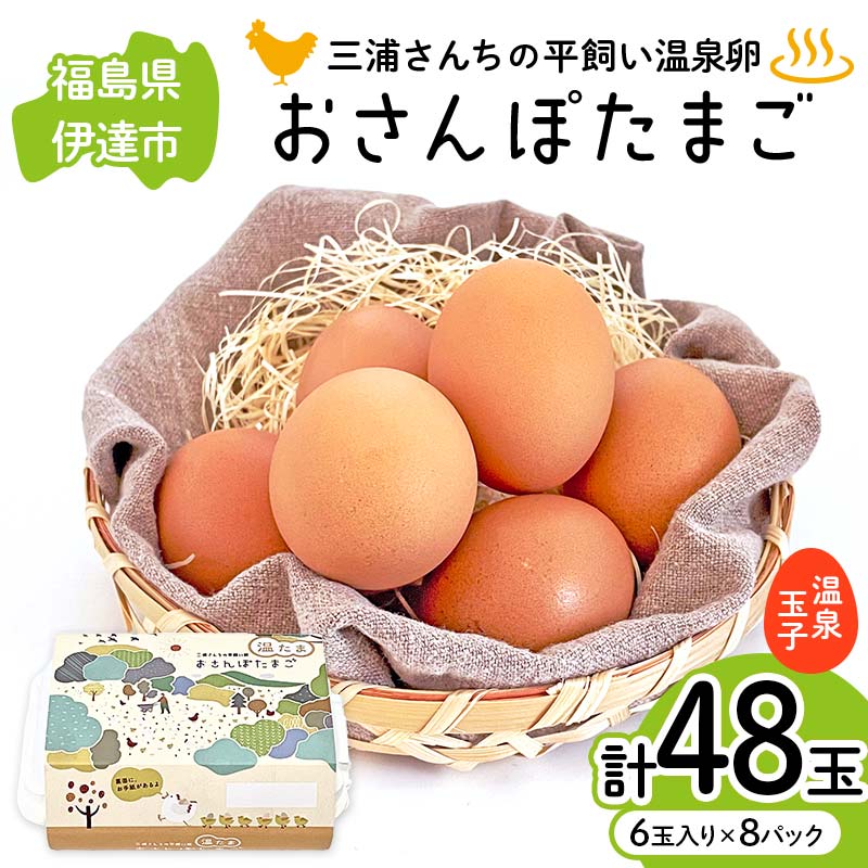 三浦さんちの平飼い温泉玉子 おさんぽたまご 計48玉 伊達市 福島県 国産 養鶏場直送 卵 たまご 玉子 鶏卵 温泉たまご F20C-951