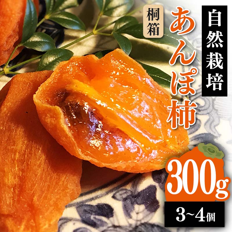 【贈答用】自然栽培あんぽ柿 桐箱 300g（3～4 個入り） F20C-968