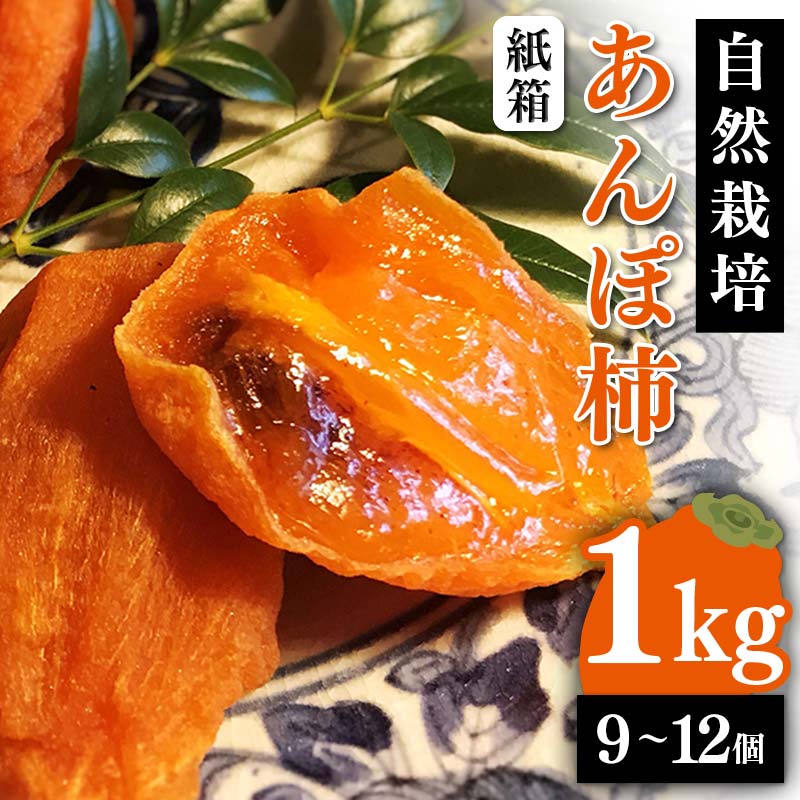 【贈答用】自然栽培あんぽ柿 紙箱 1kg（9~12個入り） F20C-969