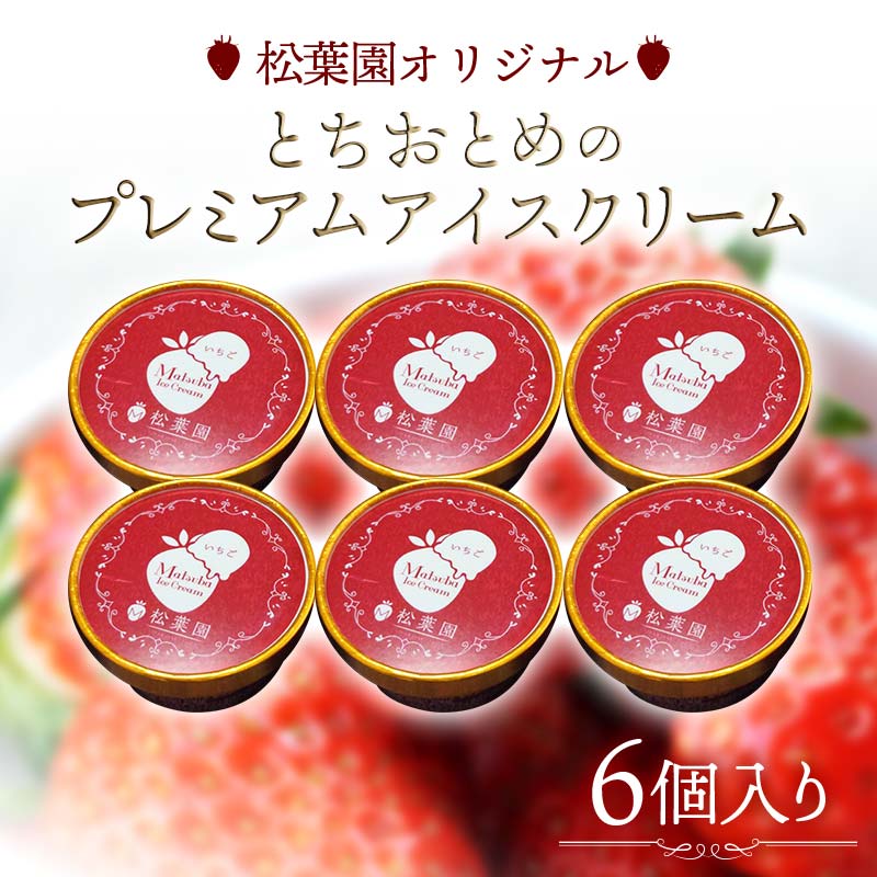 【松葉園オリジナル】とちおとめのプレミアムアイスクリーム 6個入り F20C-983