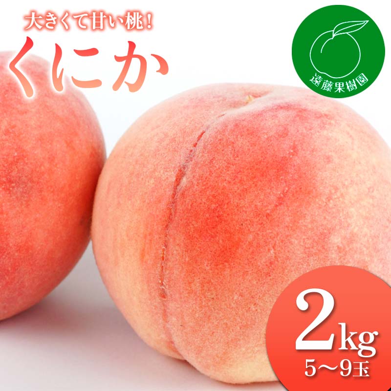 福島県産 くにか 2kg 2025年8月中旬〜2025年8月下旬発送 2025年出荷分 先行予約 伊達の桃 桃 もも モモ 果物 くだもの フルーツ 国産 贈り物 ギフト 食品 デザート 果実 F20C-830