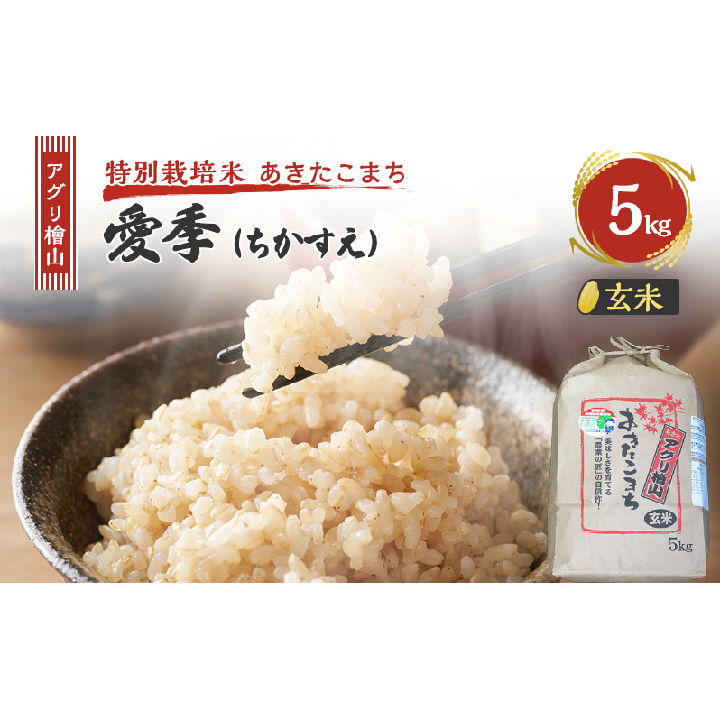令和7年産 新米 アグリ檜山米 愛季(ちかすえ) 玄米 5kg  あきたこまち  お米 おこめ こめ コメ ごはん ご飯 大粒 令和7年  秋田 秋田県 能代市