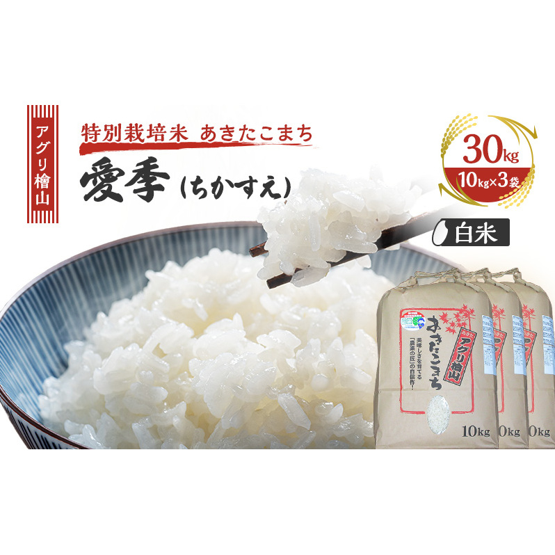 令和7年産 新米 アグリ檜山米 愛季(ちかすえ) 白米 30kg ( 10kg × 3袋 )  あきたこまち  精米 お米 おこめ こめ コメ ごはん ご飯 大粒 令和7年  秋田 秋田県 能代市