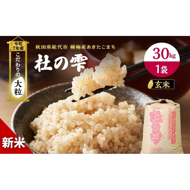 令和7年産 新米 玄米 秋田 あきたこまち 杜の雫 30kg 1袋 秋田県産 米 お米 こだわりの大粒 種梅産 ご飯 ブランド米 大粒 おにぎり 産地直送 送料無料 おこめ ごはん 秋田県