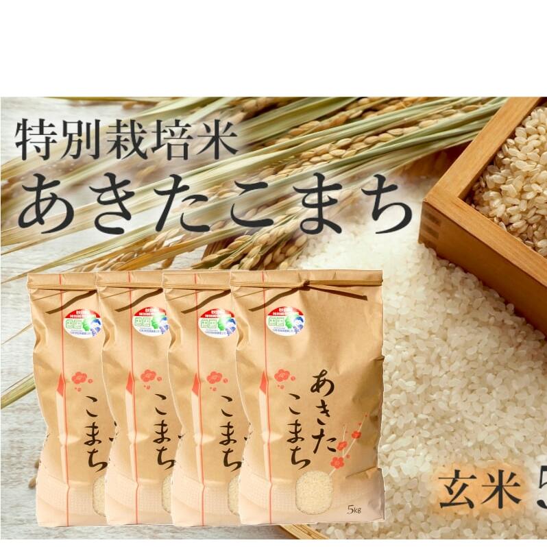 玄米 あきたこまち 20kg (5kg×4袋) 令和7年産 米 こめ お米 おこめ 令和7年 特別栽培米 産地直送 ご飯 ごはん 秋田こまち 秋田 秋田県 能代市 特別栽培