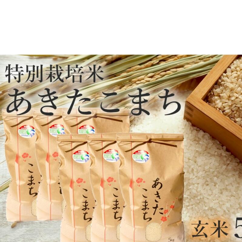 玄米 あきたこまち 30kg (5kg×6袋) 令和7年産 米 こめ お米 おこめ 令和7年 特別栽培米 産地直送 ご飯 ごはん 秋田こまち 秋田 秋田県 能代市 特別栽培